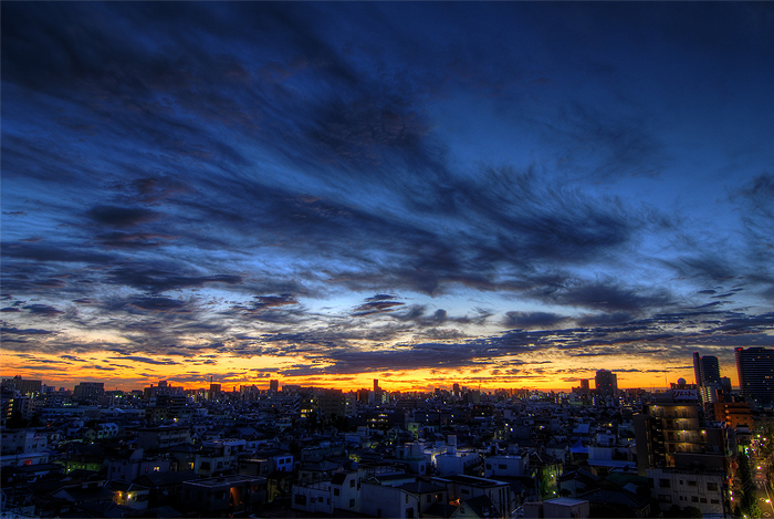 tokyo blue sunrise
